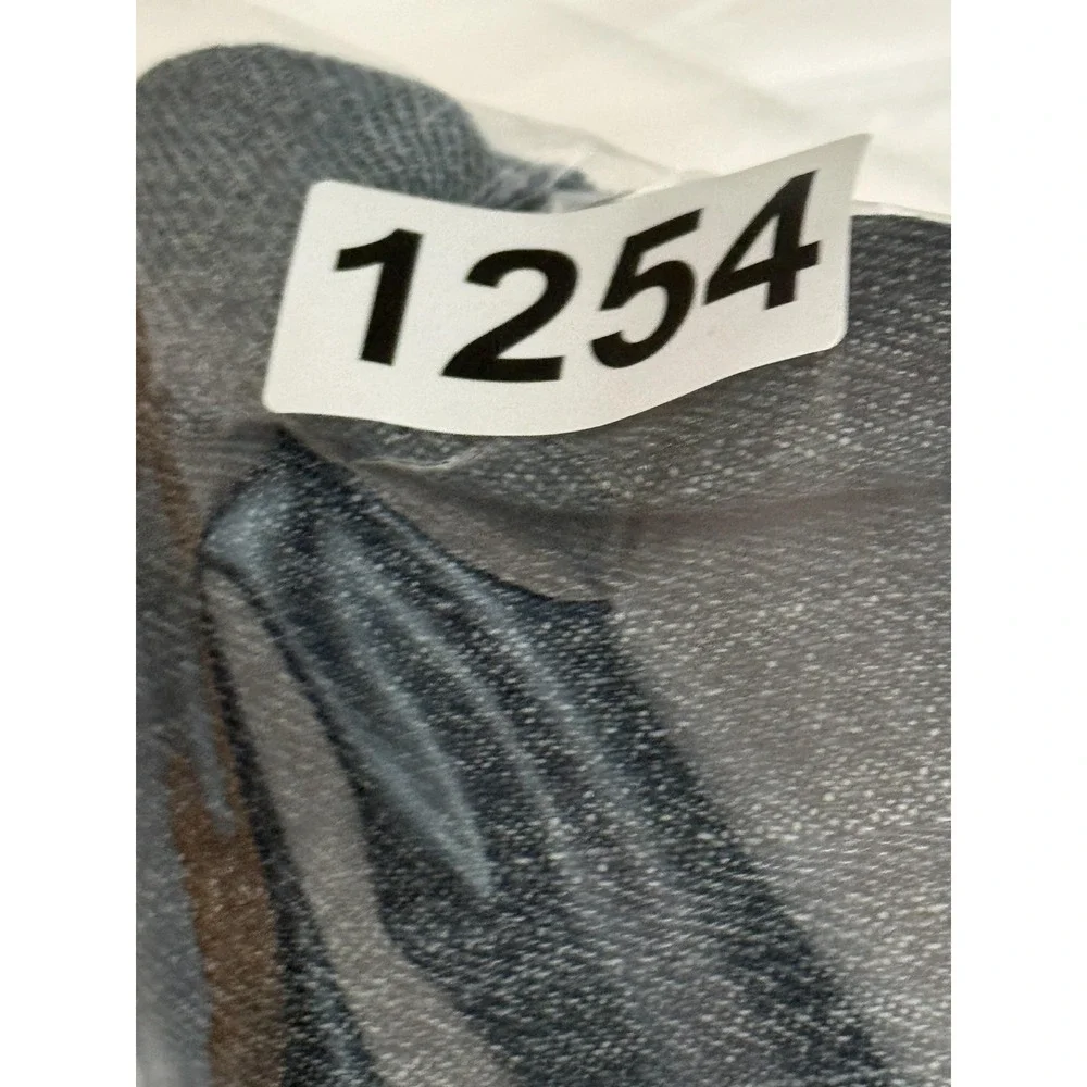 Levis levis y2k